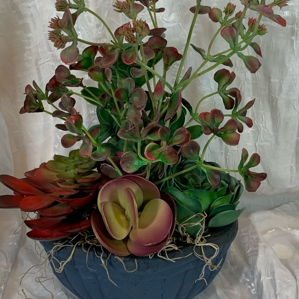 DbyG Boutique - Coming Soon!  Exclusive Artificial Succulent Pottery Dish Garden